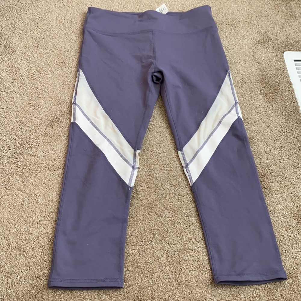 Fabletics Periwinkle Leggings